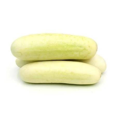 Cucumber White